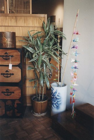 Designer bamboo poles with multi-strings of  bright colored origami cranes!
