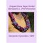Origami Tissue Paper Orchid Hawaiian Lei DVD Instruction